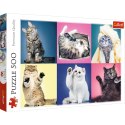 Trefl Puzzle Puzzle 500 el. Kociaki Trefl 37377