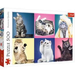Trefl Puzzle Puzzle 500 el. Kociaki Trefl 37377