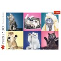 Trefl Puzzle Puzzle 500 el. Kociaki Trefl 37377