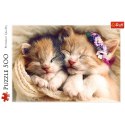 Trefl Puzzle Puzzle 500 el. Śpiące kotki Trefl 37271