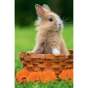 Trefl Puzzle Puzzle - 54 mini - Urocze zwierzątka - Trefl 54195