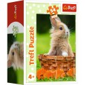 Trefl Puzzle Puzzle - 54 mini - Urocze zwierzątka - Trefl 54195