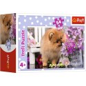 Trefl Puzzle Puzzle - 54 mini - Urocze zwierzątka - Trefl 54195
