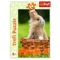 Trefl Puzzle Puzzle - 54 mini - Urocze zwierzątka - Trefl 54195