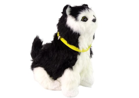 LEAN Toys Interaktywny Kot Kotek Pluszowy Miauczy Rusza Głową i Ogonem LEAN Toys Interaktywny Kot Kotek Pluszowy Miauczy Rusza Głową i Ogonem