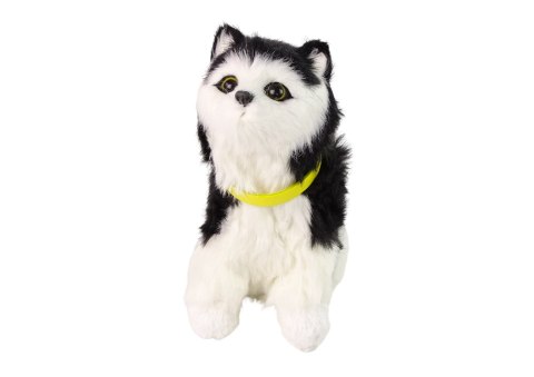 LEAN Toys Interaktywny Kot Kotek Pluszowy Miauczy Rusza Głową i Ogonem LEAN Toys Interaktywny Kot Kotek Pluszowy Miauczy Rusza Głową i Ogonem