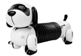 LEAN Toys Interaktywny Pies Robot Zdalnie Sterowany Muzyka Dźwięk Pilot Piłka