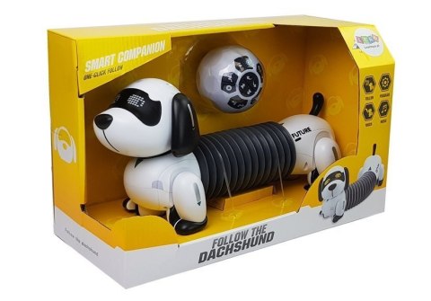 LEAN Toys Interaktywny Pies Robot Zdalnie Sterowany Muzyka Dźwięk Pilot Piłka LEAN Toys Interaktywny Pies Robot Zdalnie Sterowany Muzyka Dźwięk Pilot Piłka