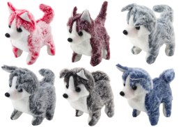LEAN Toys Piesek Husky Chodzący Z Dźwiękiem Macha Ogonkiem 6 Kolorów