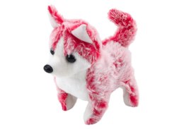 LEAN Toys Piesek Husky Chodzący Z Dźwiękiem Macha Ogonkiem 6 Kolorów