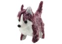 LEAN Toys Piesek Husky Chodzący Z Dźwiękiem Macha Ogonkiem 6 Kolorów