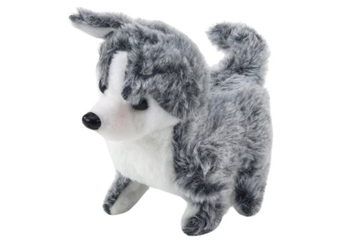 LEAN Toys Piesek Husky Chodzący Z Dźwiękiem Macha Ogonkiem 6 Kolorów LEAN Toys Piesek Husky Chodzący Z Dźwiękiem Macha Ogonkiem 6 Kolorów