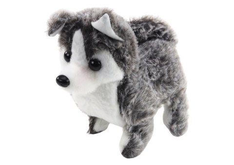LEAN Toys Piesek Husky Chodzący Z Dźwiękiem Macha Ogonkiem 6 Kolorów LEAN Toys Piesek Husky Chodzący Z Dźwiękiem Macha Ogonkiem 6 Kolorów