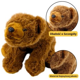 LEAN Toys Pluszowa Maskotka Przytulanka Niedźwiedź Brązowy 28cm