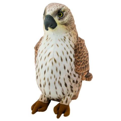 LEAN Toys Pluszowa Maskotka Przytulanka Ptak Sokół Wędrowny Brązowy 30cm LEAN Toys Pluszowa Maskotka Przytulanka Ptak Sokół Wędrowny Brązowy 30cm