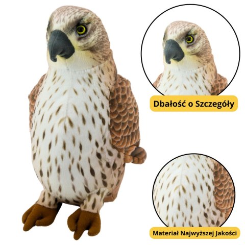 LEAN Toys Pluszowa Maskotka Przytulanka Ptak Sokół Wędrowny Brązowy 30cm LEAN Toys Pluszowa Maskotka Przytulanka Ptak Sokół Wędrowny Brązowy 30cm