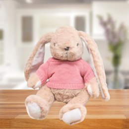 LEAN Toys Pluszowa Maskotka Przytulanka Zając Sweterek Różowy 22cm
