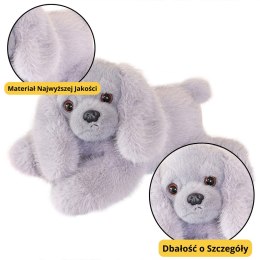 LEAN Toys Pluszowy Piesek Cocker Spaniel Z Obciążonymi Łapami Szary 30cm