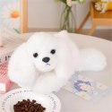 LEAN Toys Pluszowy Piesek Maltańczyk Z Obciążonymi Łapami Biały 30cm