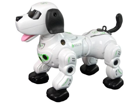 LEAN Toys Piesek Robot Interaktywny Zdalnie Sterowany LEAN Toys Piesek Robot Interaktywny Zdalnie Sterowany