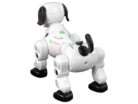 LEAN Toys Piesek Robot Interaktywny Zdalnie Sterowany LEAN Toys Piesek Robot Interaktywny Zdalnie Sterowany