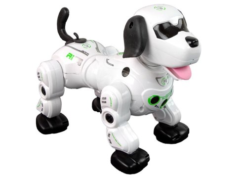 LEAN Toys Piesek Robot Interaktywny Zdalnie Sterowany LEAN Toys Piesek Robot Interaktywny Zdalnie Sterowany