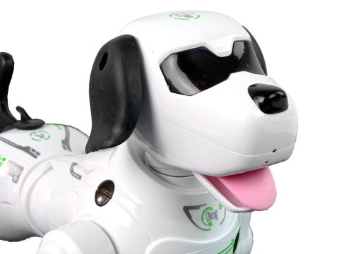 LEAN Toys Piesek Robot Interaktywny Zdalnie Sterowany LEAN Toys Piesek Robot Interaktywny Zdalnie Sterowany