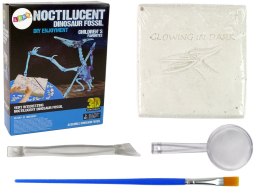 LEAN Toys Zestaw Archeologiczny Wykopaliska Dinozaur Szkielet Pteranodon