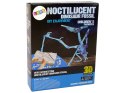 LEAN Toys Zestaw Archeologiczny Wykopaliska Dinozaur Szkielet Pteranodon