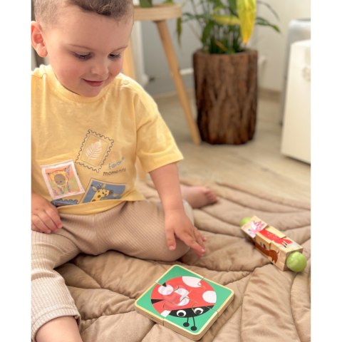 TOOKY TOY Box Pudełko XXL Montessori Edukacyjne 7w1 Sensoryczne 22-24 Mies TOOKY TOY Box Pudełko XXL Montessori Edukacyjne 7w1 Sensoryczne 22-24 Mies