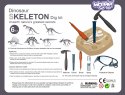 WOOPIE Wykopalisko "Mały Archeolog" 6 Szkieletów Dinozaurów
