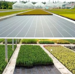 LEAN Trike Agrotkanina czarna 1,1x50m UV 135g antychwastowa agrowłóknina + kotwy