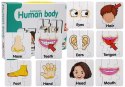 LEAN TOYS Puzzle Edukacyjne Układanka Części Ciała 10 Połączeń Angielski