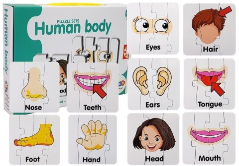 LEAN TOYS Puzzle Edukacyjne Układanka Części Ciała 10 Połączeń Angielski