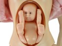 LEAN Toys Lalka Rodzina Chłopak Dziewczyna Lucy w Ciąży