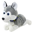 LEAN Toys Pies Pluszowy Na Baterie Interaktywny Husky Porusza Się Wydaje Dźwięki